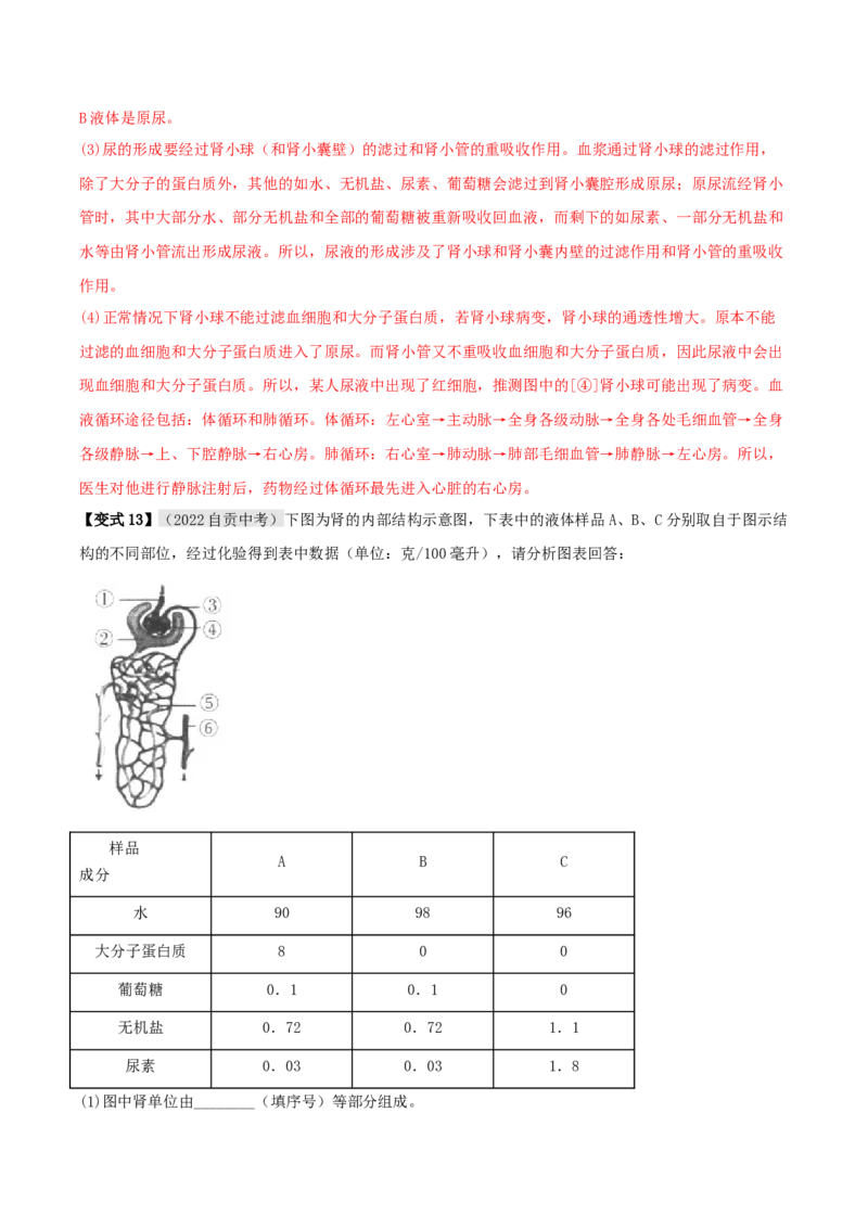 专题14人体内废物的排出（解析版）_6生物中考复习_2023年中考复习资料_专项复习_2023年中考生物总复习真题探究与变式训练（全国通用）