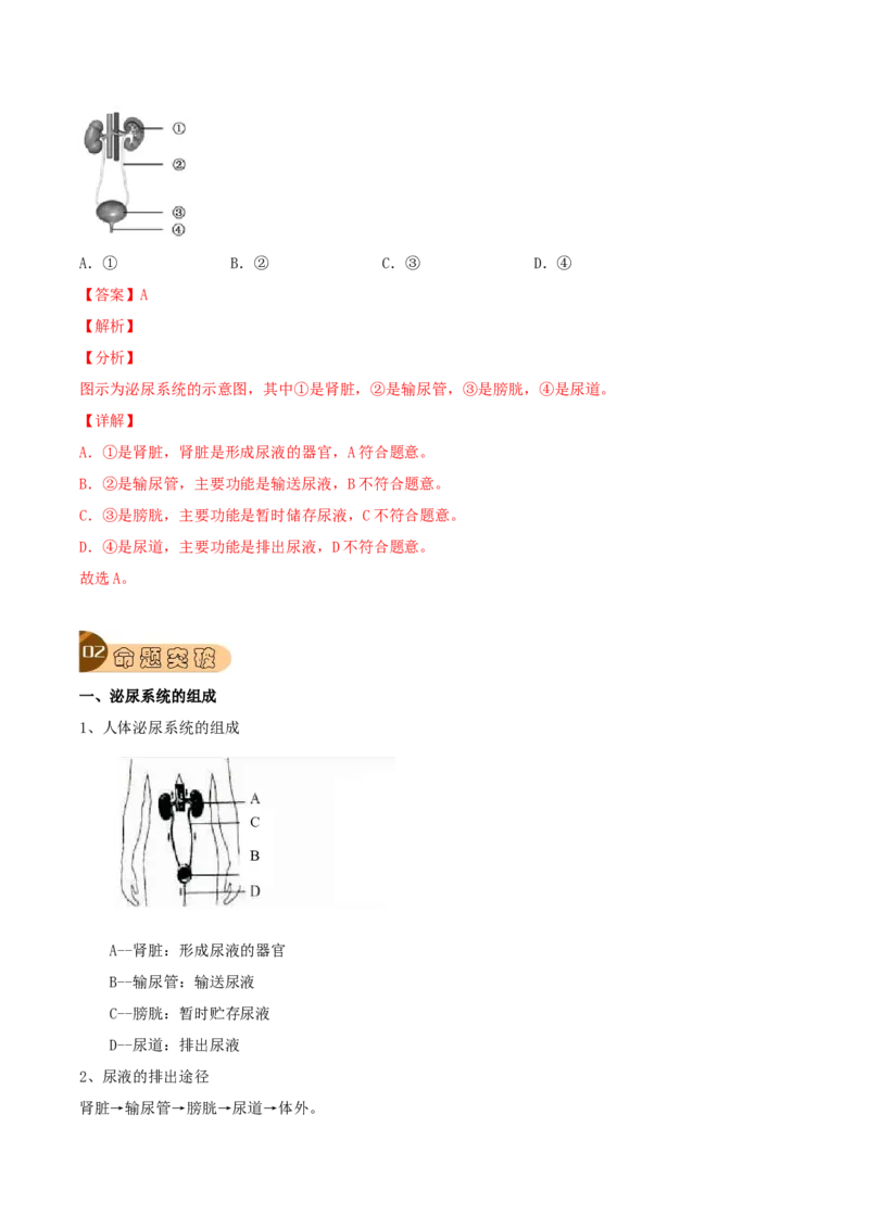 专题14人体内废物的排出（解析版）_6生物中考复习_2023年中考复习资料_专项复习_2023年中考生物总复习真题探究与变式训练（全国通用）