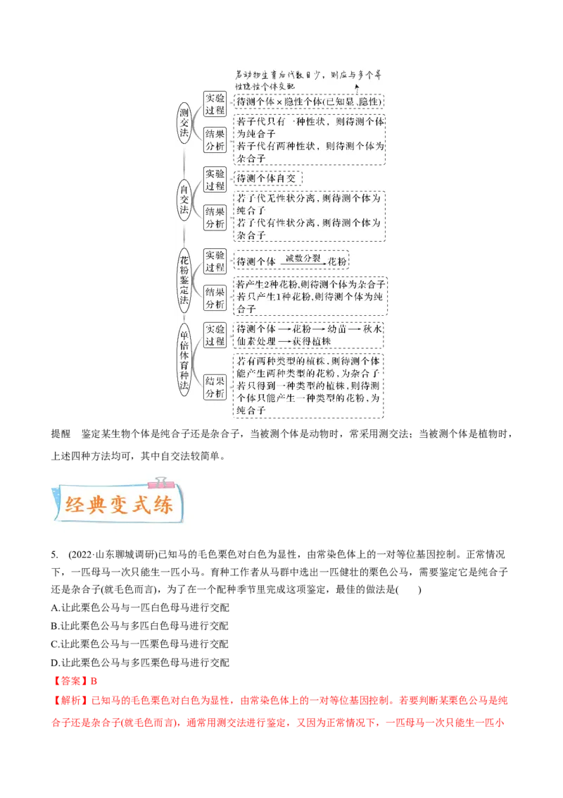 考向09基因的分离定律-备战2023年高考生物一轮复习考点微专题（全国通用）（解析版）(1)_通用版（老高考）复习资料_2023年复习资料_一轮复习