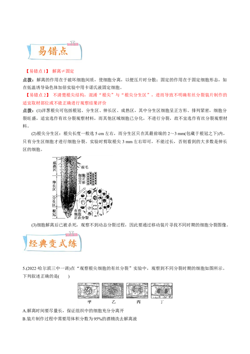 考向07细胞的生命历程-备战2023年高考生物一轮复习考点微专题（全国通用）（原卷版）_通用版（老高考）复习资料_2023年复习资料_一轮复习