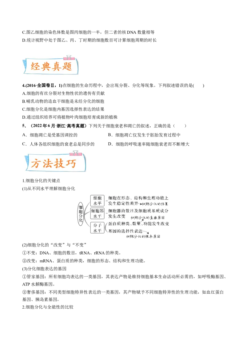 考向07细胞的生命历程-备战2023年高考生物一轮复习考点微专题（全国通用）（原卷版）_通用版（老高考）复习资料_2023年复习资料_一轮复习
