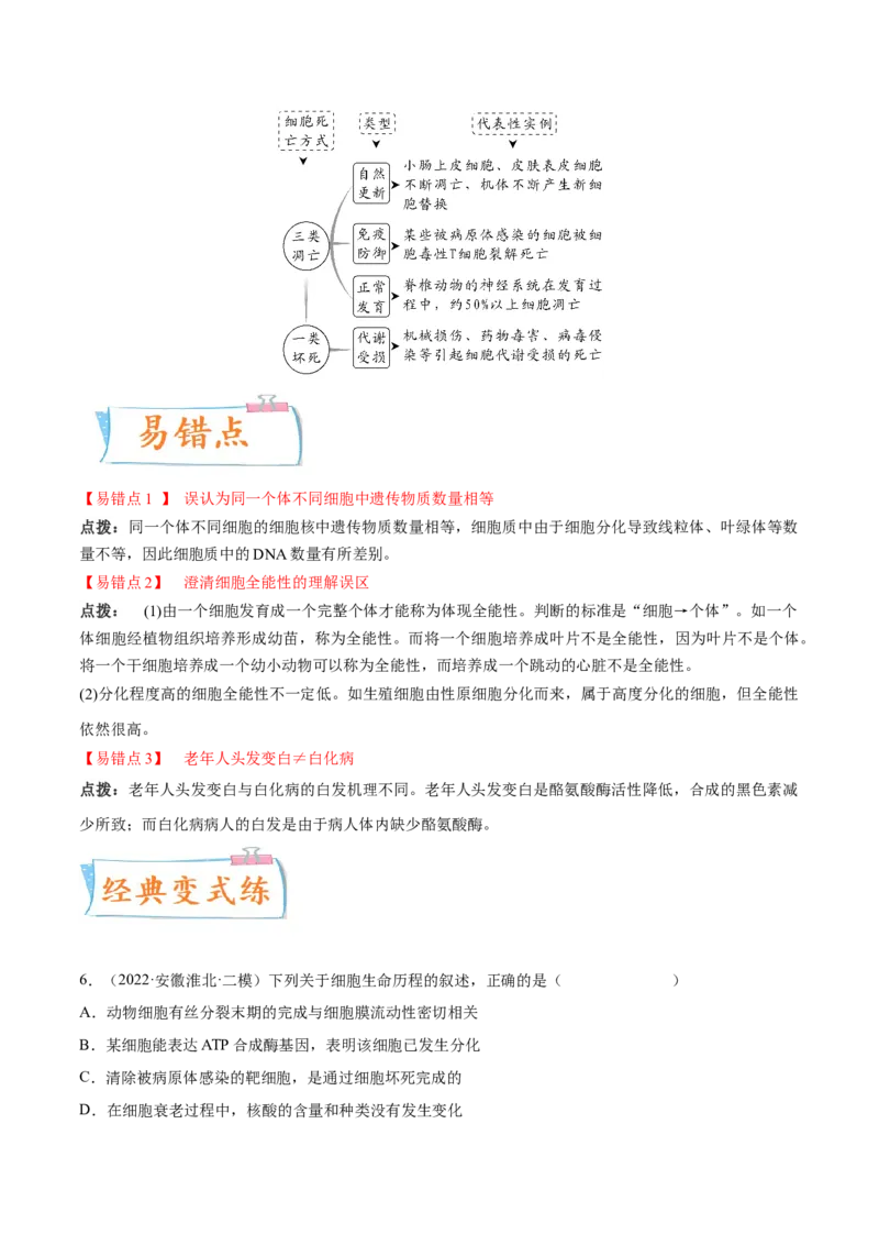 考向07细胞的生命历程-备战2023年高考生物一轮复习考点微专题（全国通用）（原卷版）_通用版（老高考）复习资料_2023年复习资料_一轮复习