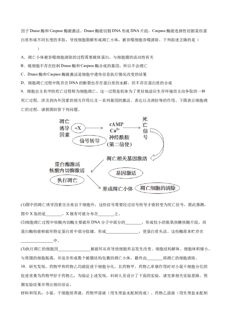 考向07细胞的生命历程-备战2023年高考生物一轮复习考点微专题（全国通用）（原卷版）_通用版（老高考）复习资料_2023年复习资料_一轮复习
