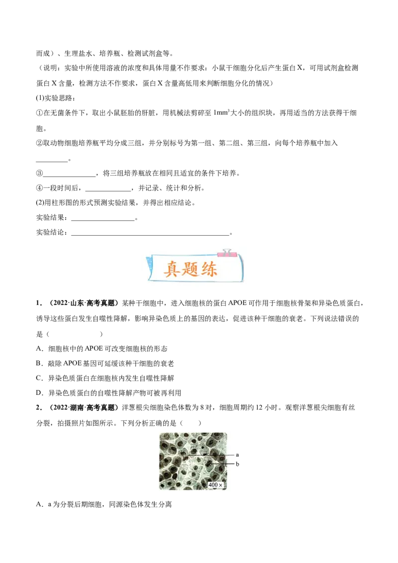 考向07细胞的生命历程-备战2023年高考生物一轮复习考点微专题（全国通用）（原卷版）_通用版（老高考）复习资料_2023年复习资料_一轮复习