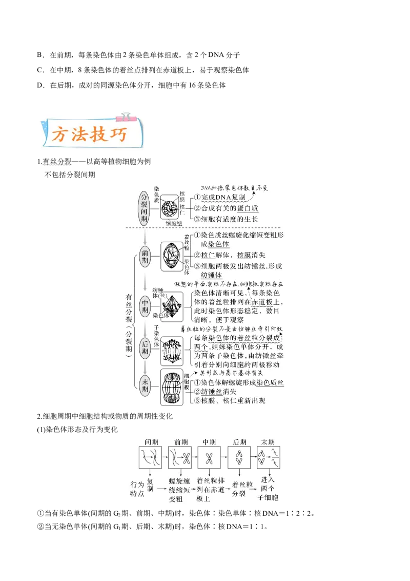 考向07细胞的生命历程-备战2023年高考生物一轮复习考点微专题（全国通用）（原卷版）_通用版（老高考）复习资料_2023年复习资料_一轮复习