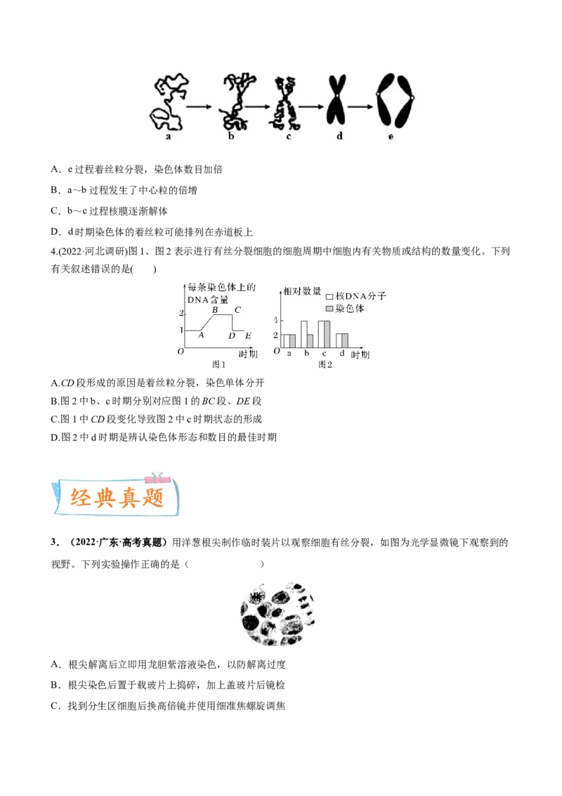 考向07细胞的生命历程-备战2023年高考生物一轮复习考点微专题（全国通用）（原卷版）_通用版（老高考）复习资料_2023年复习资料_一轮复习