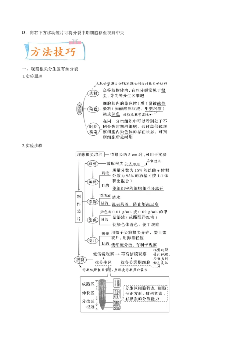 考向07细胞的生命历程-备战2023年高考生物一轮复习考点微专题（全国通用）（原卷版）_通用版（老高考）复习资料_2023年复习资料_一轮复习