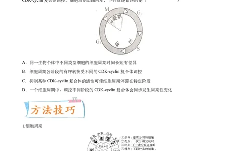 考向07细胞的生命历程-备战2023年高考生物一轮复习考点微专题（全国通用）（原卷版）_通用版（老高考）复习资料_2023年复习资料_一轮复习