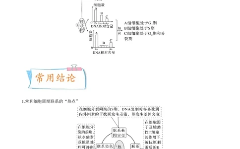 考向07细胞的生命历程-备战2023年高考生物一轮复习考点微专题（全国通用）（原卷版）_通用版（老高考）复习资料_2023年复习资料_一轮复习