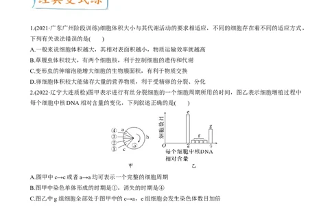 考向07细胞的生命历程-备战2023年高考生物一轮复习考点微专题（全国通用）（原卷版）_通用版（老高考）复习资料_2023年复习资料_一轮复习