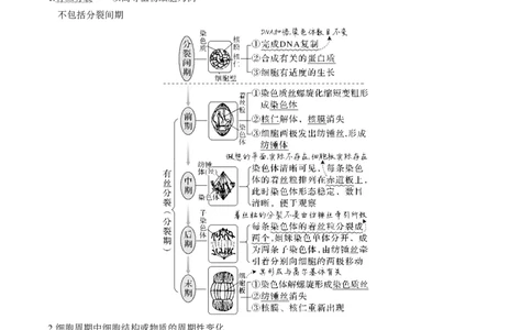 考向07细胞的生命历程-备战2023年高考生物一轮复习考点微专题（全国通用）（原卷版）_通用版（老高考）复习资料_2023年复习资料_一轮复习
