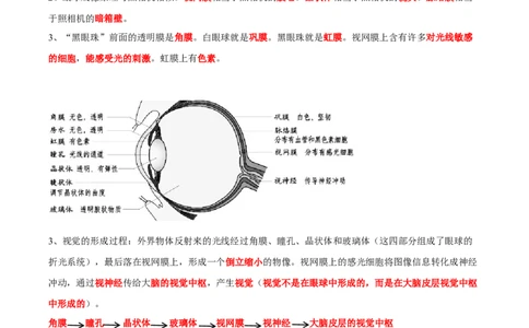 专题14人体生命活动的调节-2022年中考生物一轮复习抓重点考典型（人教版）（解析版）_6生物中考复习_2023年中考复习资料_一轮复习_2022年中考生物一轮复习抓重点考典型（人教版）