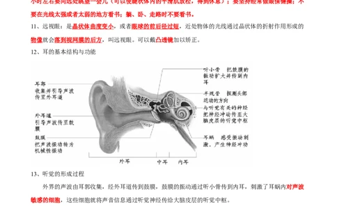 专题14人体生命活动的调节-2022年中考生物一轮复习抓重点考典型（人教版）（解析版）_6生物中考复习_2023年中考复习资料_一轮复习_2022年中考生物一轮复习抓重点考典型（人教版）