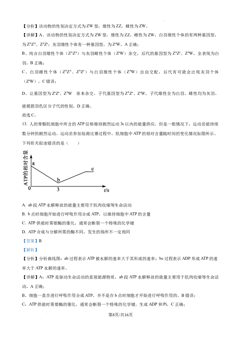 精品解析：广东省湛江市2024-2025学年高一下学期4月期中生物试题（解析版）_2026年04月高一试卷_260427广东省湛江市2024-2025学年高一下学期期中考试