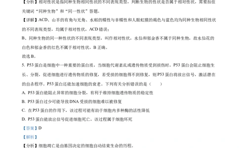 精品解析：广东省湛江市2024-2025学年高一下学期4月期中生物试题（解析版）_2026年04月高一试卷_260427广东省湛江市2024-2025学年高一下学期期中考试