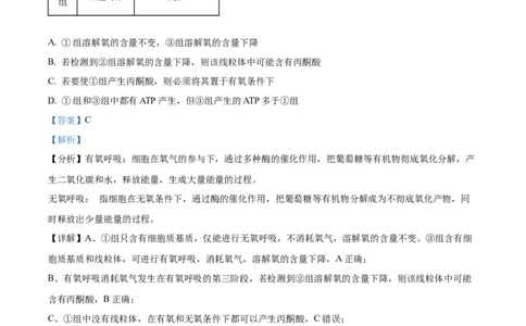 精品解析：广东省湛江市2024-2025学年高一下学期4月期中生物试题（解析版）_2026年04月高一试卷_260427广东省湛江市2024-2025学年高一下学期期中考试