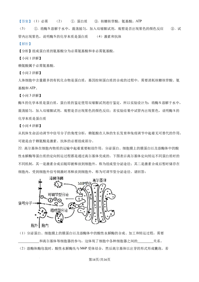 精品解析：湖北省部分高中联考2025-2026学年高一上学期11月期中生物试题（解析版）_2025年12月高一试卷_251207湖北省部分高中联考2025-2026学年高一上学期11月期中