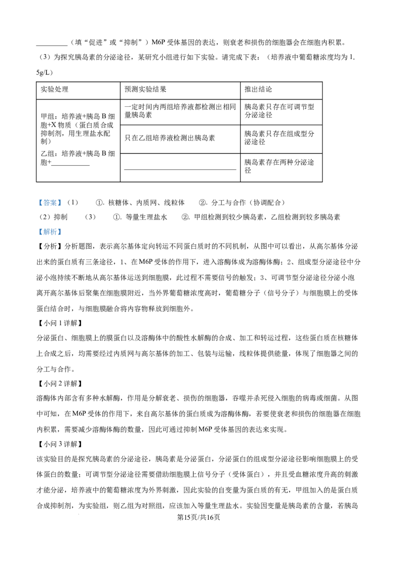 精品解析：湖北省部分高中联考2025-2026学年高一上学期11月期中生物试题（解析版）_2025年12月高一试卷_251207湖北省部分高中联考2025-2026学年高一上学期11月期中