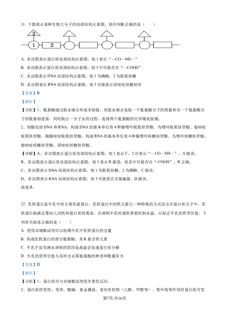 精品解析：湖北省部分高中联考2025-2026学年高一上学期11月期中生物试题（解析版）_2025年12月高一试卷_251207湖北省部分高中联考2025-2026学年高一上学期11月期中