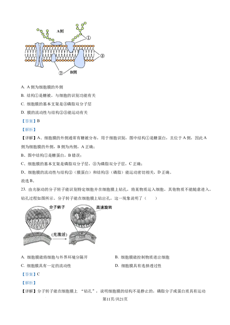 精品解析：辽宁省辽阳市多校联考2025-2026学年高一上学期期中考试生物试卷（解析版）_2025年11月高一试卷_251112辽宁省辽阳市2025-2026学年高一上学期11月期中