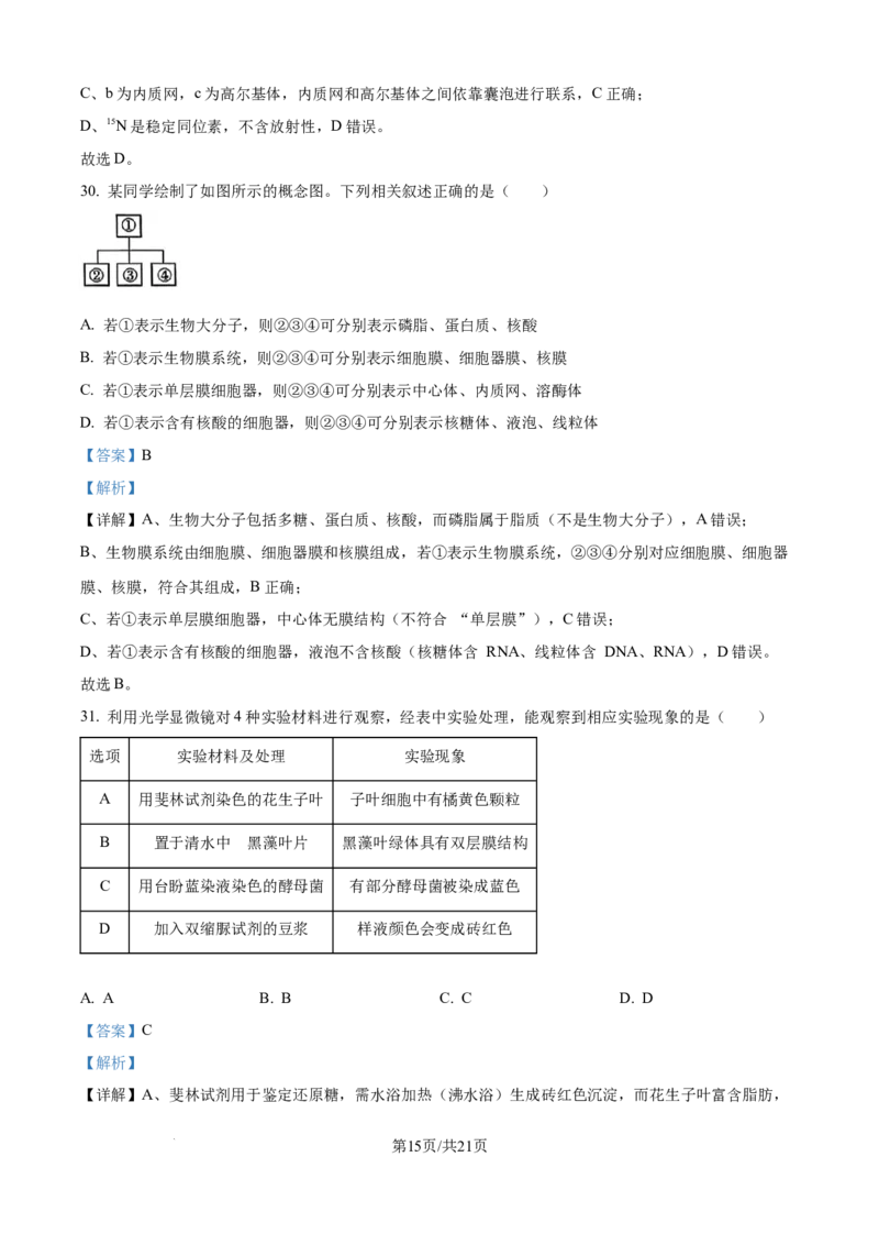 精品解析：辽宁省辽阳市多校联考2025-2026学年高一上学期期中考试生物试卷（解析版）_2025年11月高一试卷_251112辽宁省辽阳市2025-2026学年高一上学期11月期中