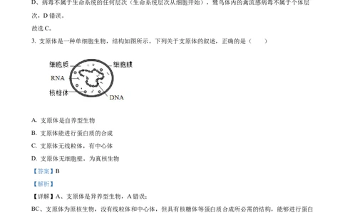 精品解析：辽宁省辽阳市多校联考2025-2026学年高一上学期期中考试生物试卷（解析版）_2025年11月高一试卷_251112辽宁省辽阳市2025-2026学年高一上学期11月期中