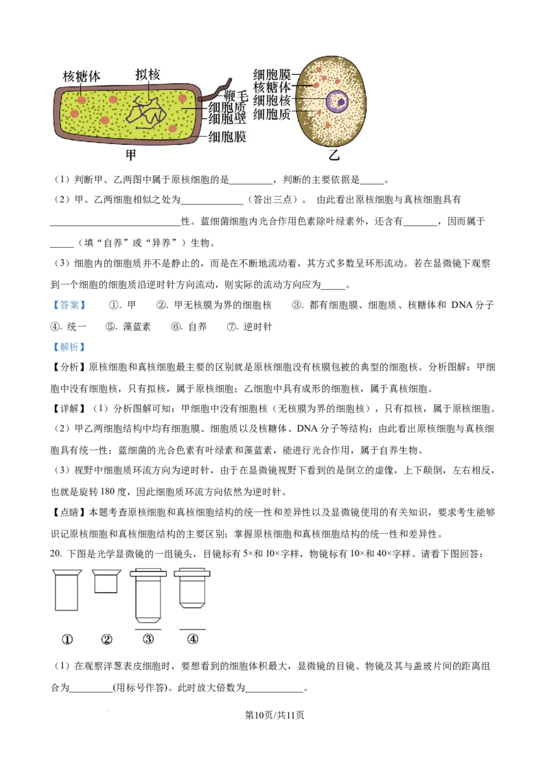 精品解析：江西省上饶市余干县私立蓝天中学2025-2026学年高一上学期9月月考生物试题（解析版）_2025年10月高一试卷