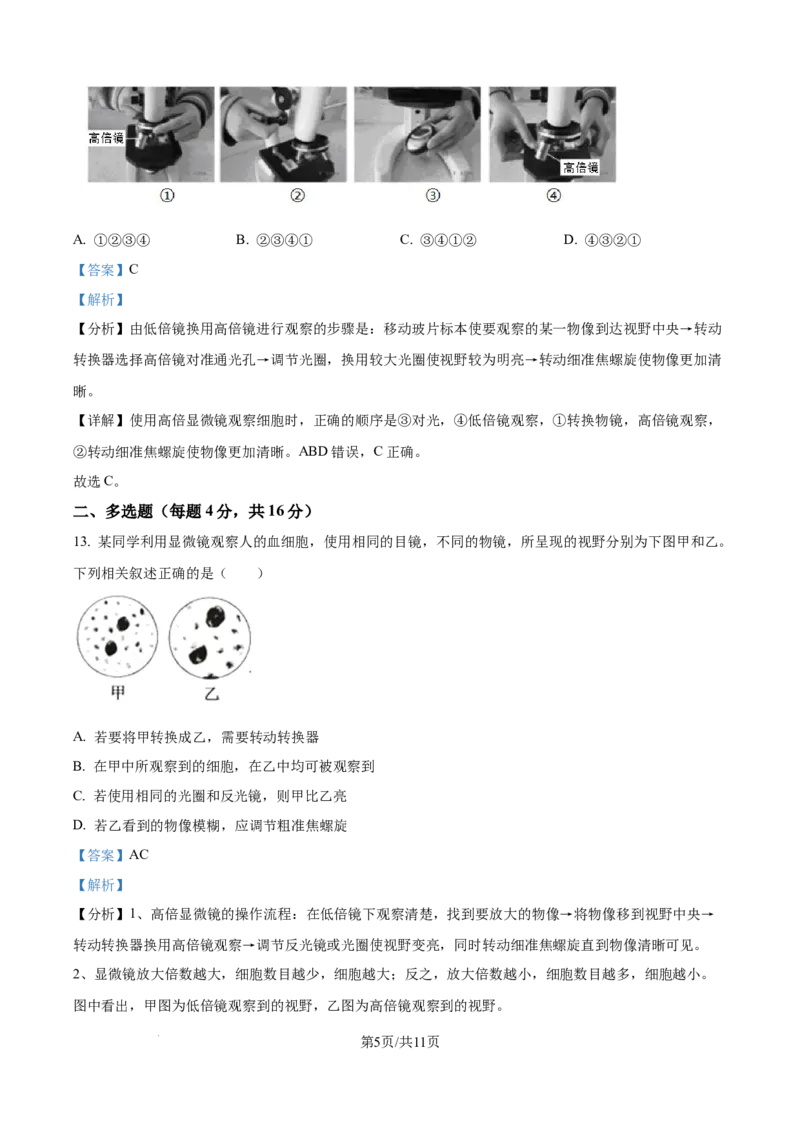 精品解析：江西省上饶市余干县私立蓝天中学2025-2026学年高一上学期9月月考生物试题（解析版）_2025年10月高一试卷