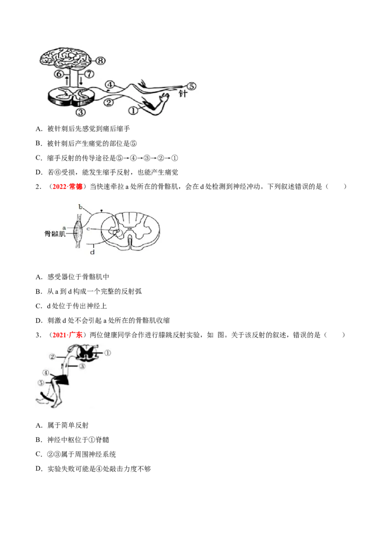 专题08&nbsp;人体生命活动的调节（原卷版）_6生物中考复习_2024年中考复习资料_专项复习资料_完三年（2021-2023）中考生物真题分项汇编（全国通用）