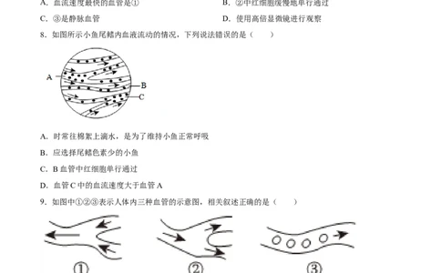 专题12人体内物质的运输（习题精练）（全国通用）（原卷版）_6生物中考复习_2024年中考复习资料_一轮复习资料_省心备考2024年中考生物一轮复习精讲精练（全国通用）