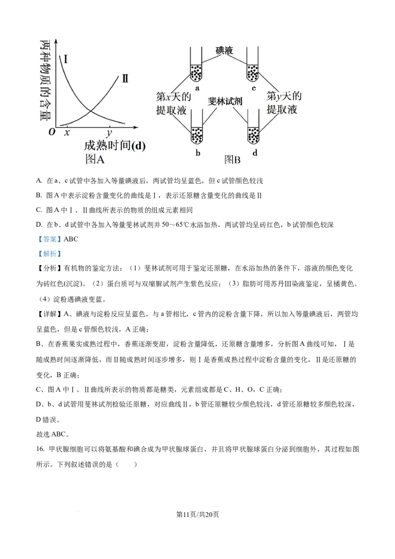 精品解析：湖南省汉寿县第一中学2025-2026学年高一上学期11月月考生物试题（解析版）_2025年12月高一试卷_251214湖南省常德市汉寿县第一中学2025-2026学年高一上学期11月期中（全）