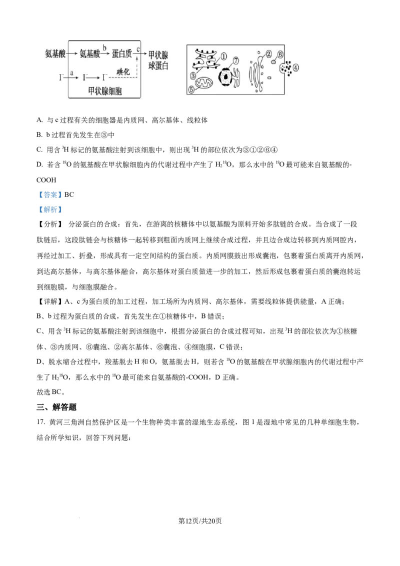 精品解析：湖南省汉寿县第一中学2025-2026学年高一上学期11月月考生物试题（解析版）_2025年12月高一试卷_251214湖南省常德市汉寿县第一中学2025-2026学年高一上学期11月期中（全）