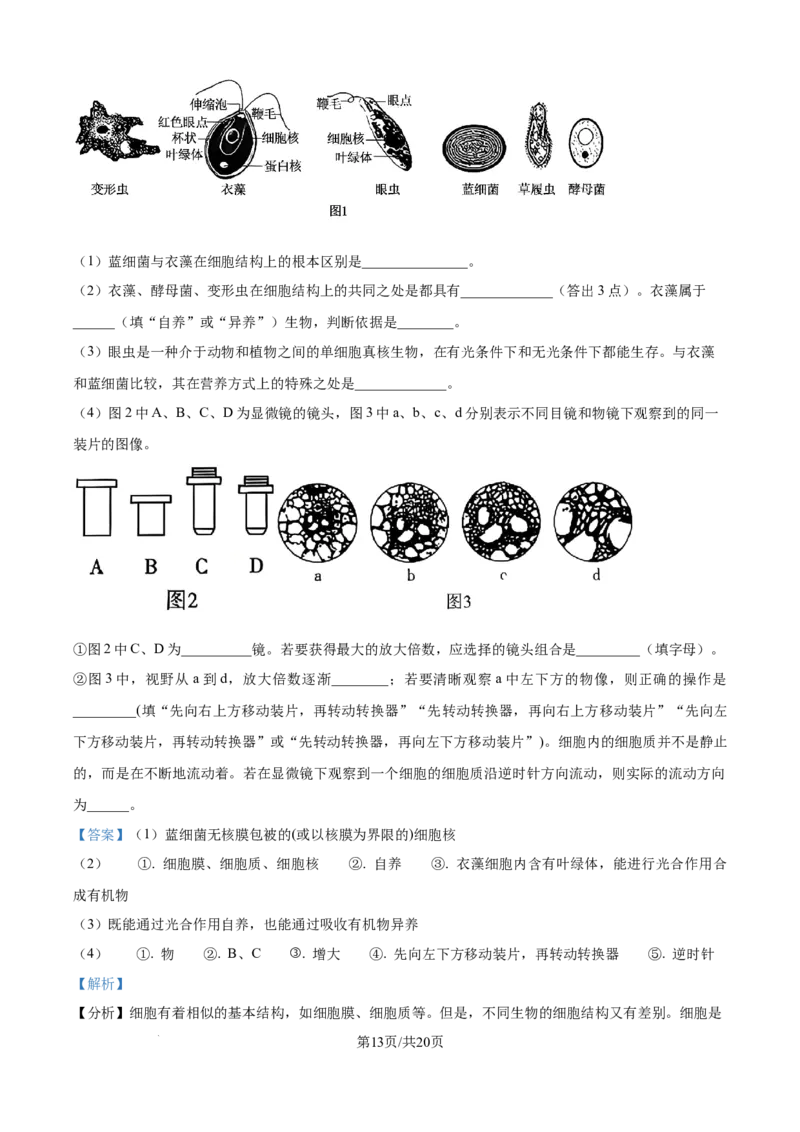精品解析：湖南省汉寿县第一中学2025-2026学年高一上学期11月月考生物试题（解析版）_2025年12月高一试卷_251214湖南省常德市汉寿县第一中学2025-2026学年高一上学期11月期中（全）