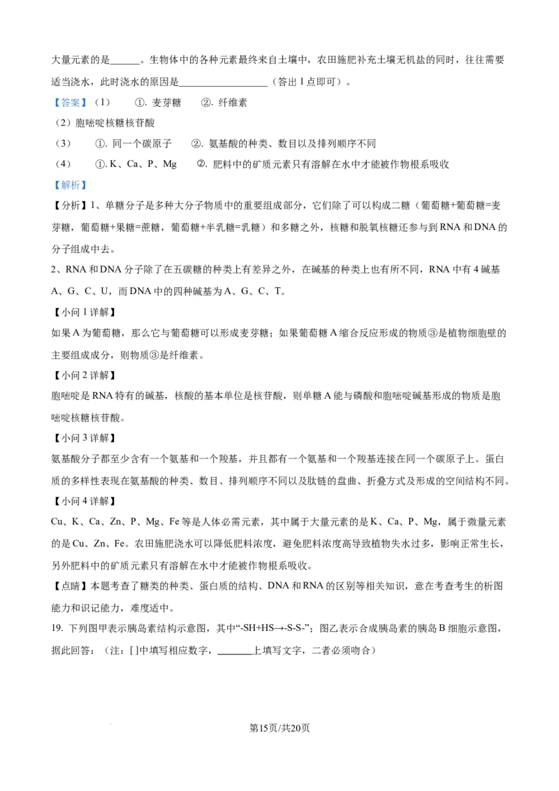 精品解析：湖南省汉寿县第一中学2025-2026学年高一上学期11月月考生物试题（解析版）_2025年12月高一试卷_251214湖南省常德市汉寿县第一中学2025-2026学年高一上学期11月期中（全）