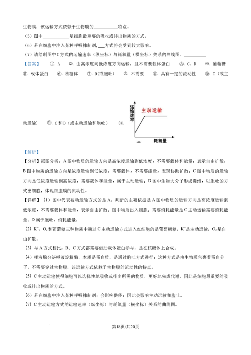 精品解析：湖南省汉寿县第一中学2025-2026学年高一上学期11月月考生物试题（解析版）_2025年12月高一试卷_251214湖南省常德市汉寿县第一中学2025-2026学年高一上学期11月期中（全）