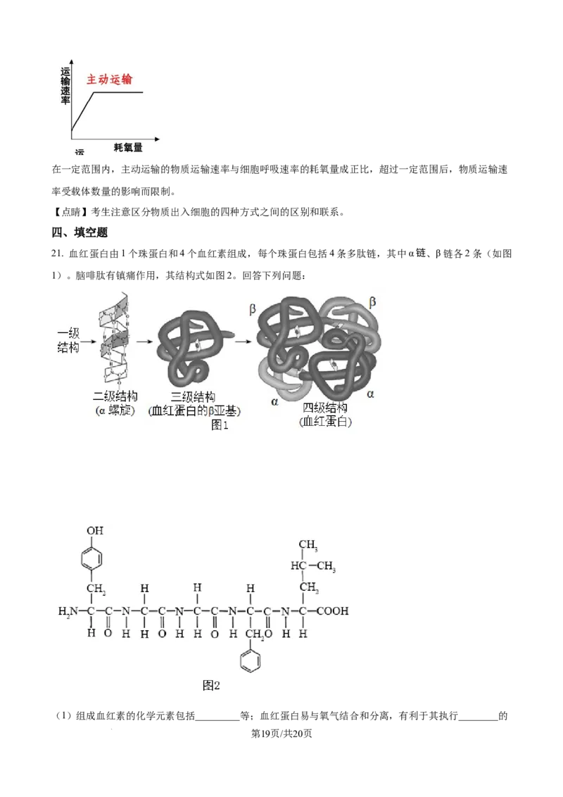 精品解析：湖南省汉寿县第一中学2025-2026学年高一上学期11月月考生物试题（解析版）_2025年12月高一试卷_251214湖南省常德市汉寿县第一中学2025-2026学年高一上学期11月期中（全）