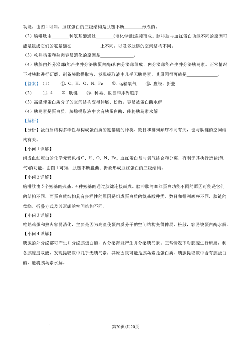 精品解析：湖南省汉寿县第一中学2025-2026学年高一上学期11月月考生物试题（解析版）_2025年12月高一试卷_251214湖南省常德市汉寿县第一中学2025-2026学年高一上学期11月期中（全）