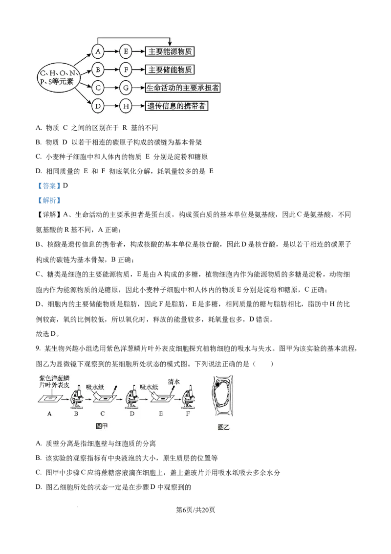 精品解析：湖南省汉寿县第一中学2025-2026学年高一上学期11月月考生物试题（解析版）_2025年12月高一试卷_251214湖南省常德市汉寿县第一中学2025-2026学年高一上学期11月期中（全）