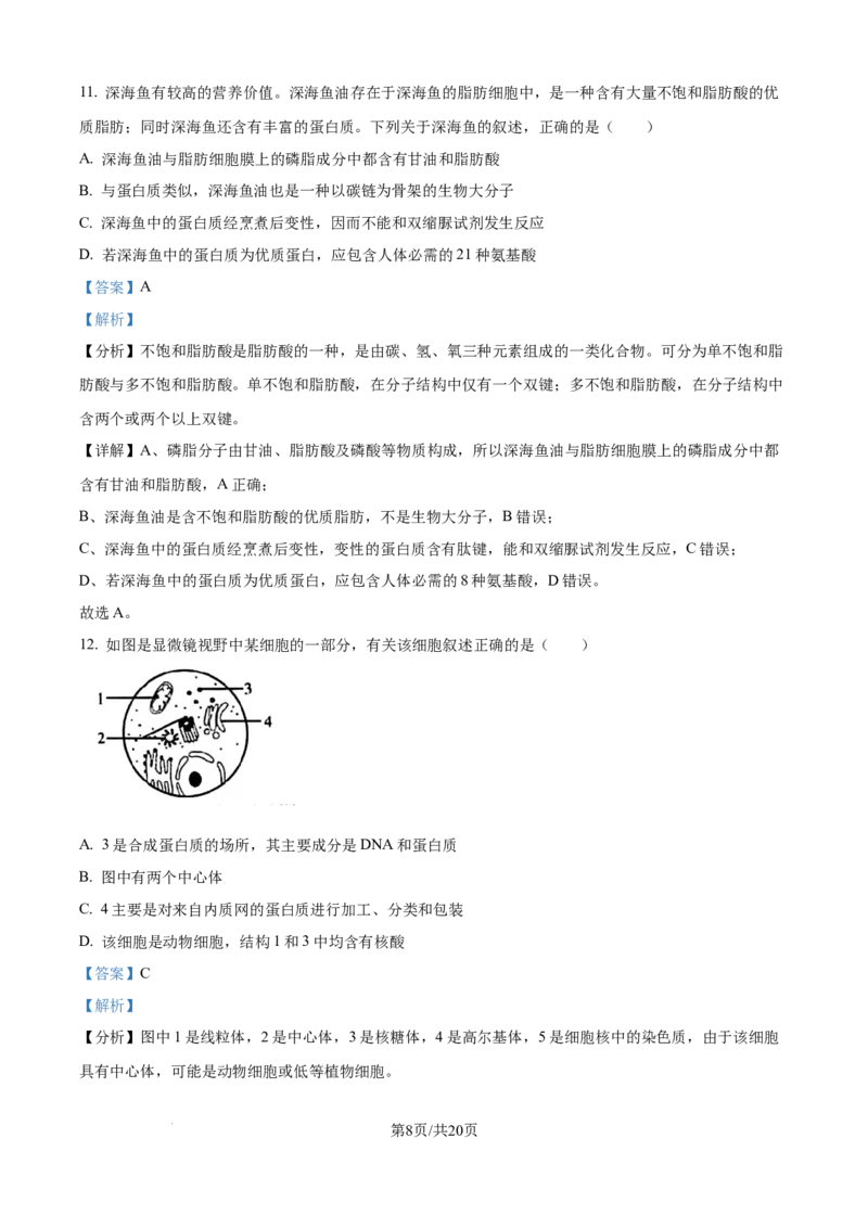 精品解析：湖南省汉寿县第一中学2025-2026学年高一上学期11月月考生物试题（解析版）_2025年12月高一试卷_251214湖南省常德市汉寿县第一中学2025-2026学年高一上学期11月期中（全）