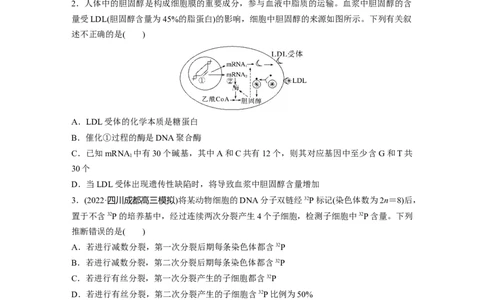 考前特训　专项一(六)数据计算类_通用版（老高考）复习资料_2023年复习资料_二轮复习_2023年高考生物二轮复习讲义+课件（全国版）_2023年高考生物二轮复习讲义（全国版）_学生版