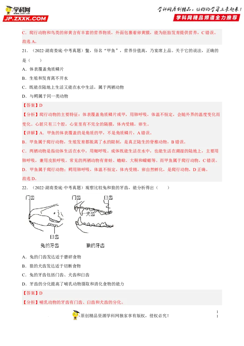 专题12动物的主要类群（习题帮）（解析版）_6生物中考复习_2023年中考复习资料_一轮复习_备战2023年中考生物一轮复习考点帮（全国通用）288506454