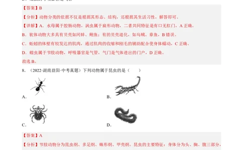 专题12动物的主要类群（习题帮）（解析版）_6生物中考复习_2023年中考复习资料_一轮复习_备战2023年中考生物一轮复习考点帮（全国通用）288506454