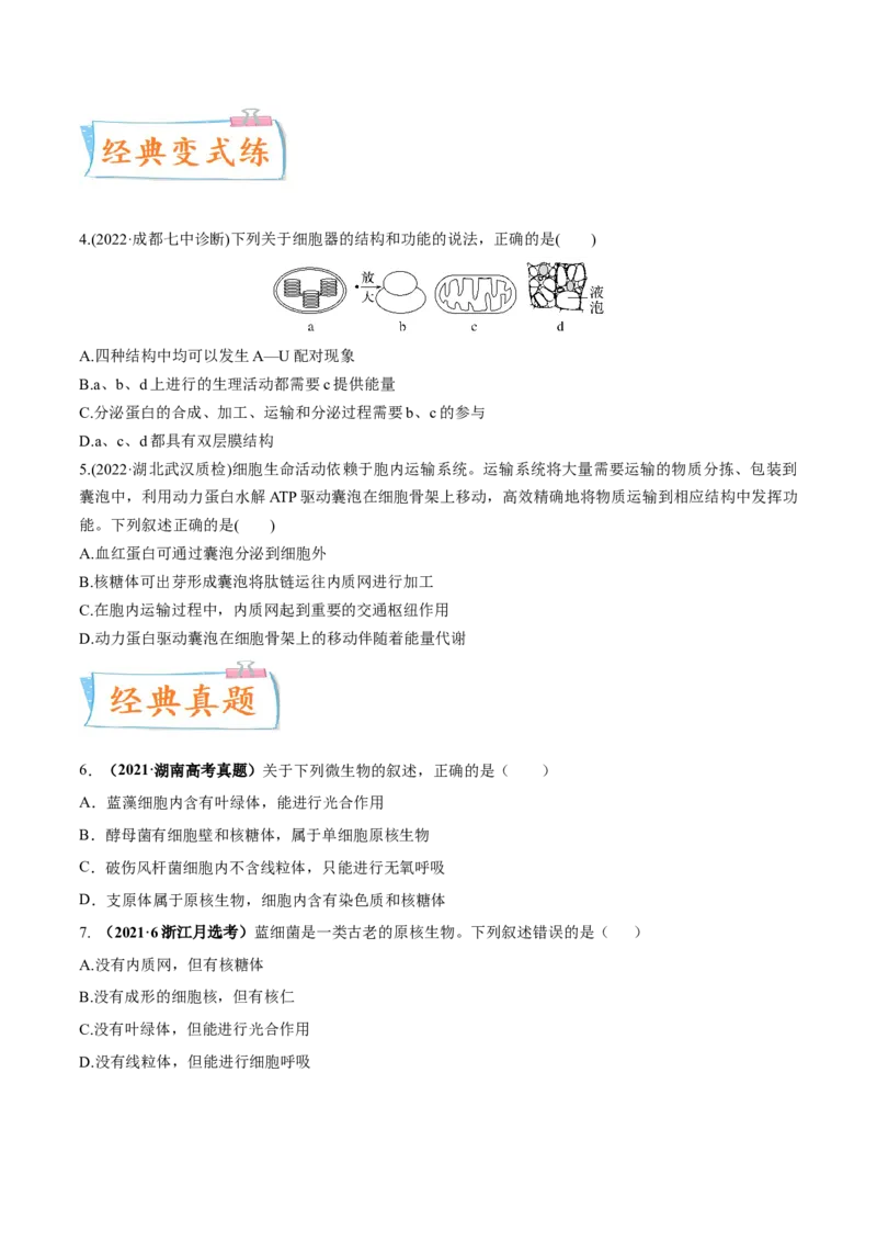 考向02细胞的基本结构-备战2023年高考生物一轮复习考点微专题（全国通用）（原卷版）_通用版（老高考）复习资料_2023年复习资料_一轮复习