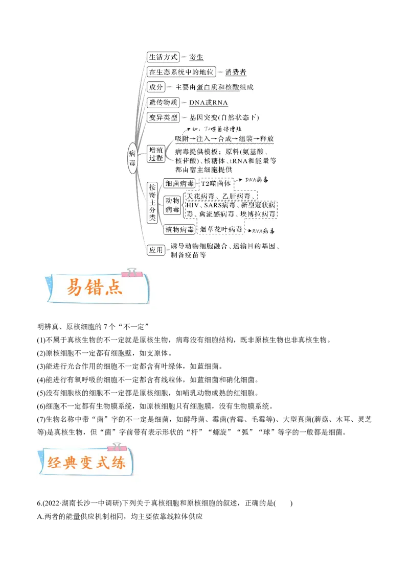 考向02细胞的基本结构-备战2023年高考生物一轮复习考点微专题（全国通用）（原卷版）_通用版（老高考）复习资料_2023年复习资料_一轮复习
