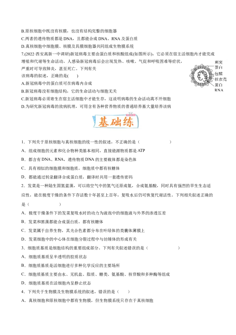 考向02细胞的基本结构-备战2023年高考生物一轮复习考点微专题（全国通用）（原卷版）_通用版（老高考）复习资料_2023年复习资料_一轮复习