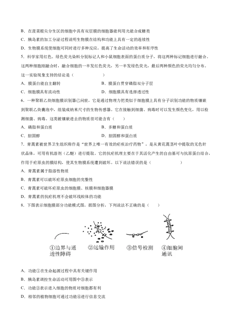 考向02细胞的基本结构-备战2023年高考生物一轮复习考点微专题（全国通用）（原卷版）_通用版（老高考）复习资料_2023年复习资料_一轮复习