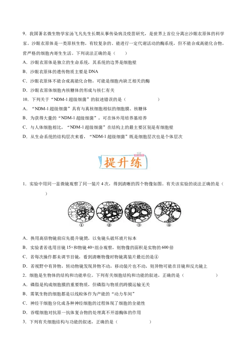 考向02细胞的基本结构-备战2023年高考生物一轮复习考点微专题（全国通用）（原卷版）_通用版（老高考）复习资料_2023年复习资料_一轮复习