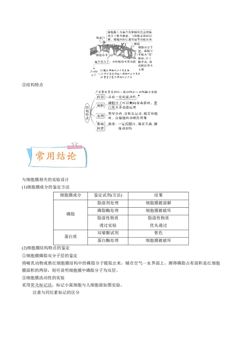 考向02细胞的基本结构-备战2023年高考生物一轮复习考点微专题（全国通用）（原卷版）_通用版（老高考）复习资料_2023年复习资料_一轮复习