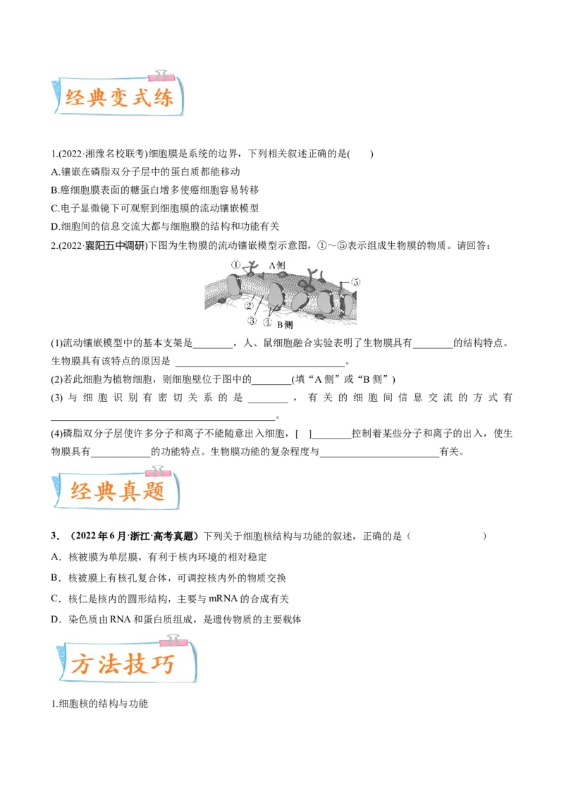 考向02细胞的基本结构-备战2023年高考生物一轮复习考点微专题（全国通用）（原卷版）_通用版（老高考）复习资料_2023年复习资料_一轮复习