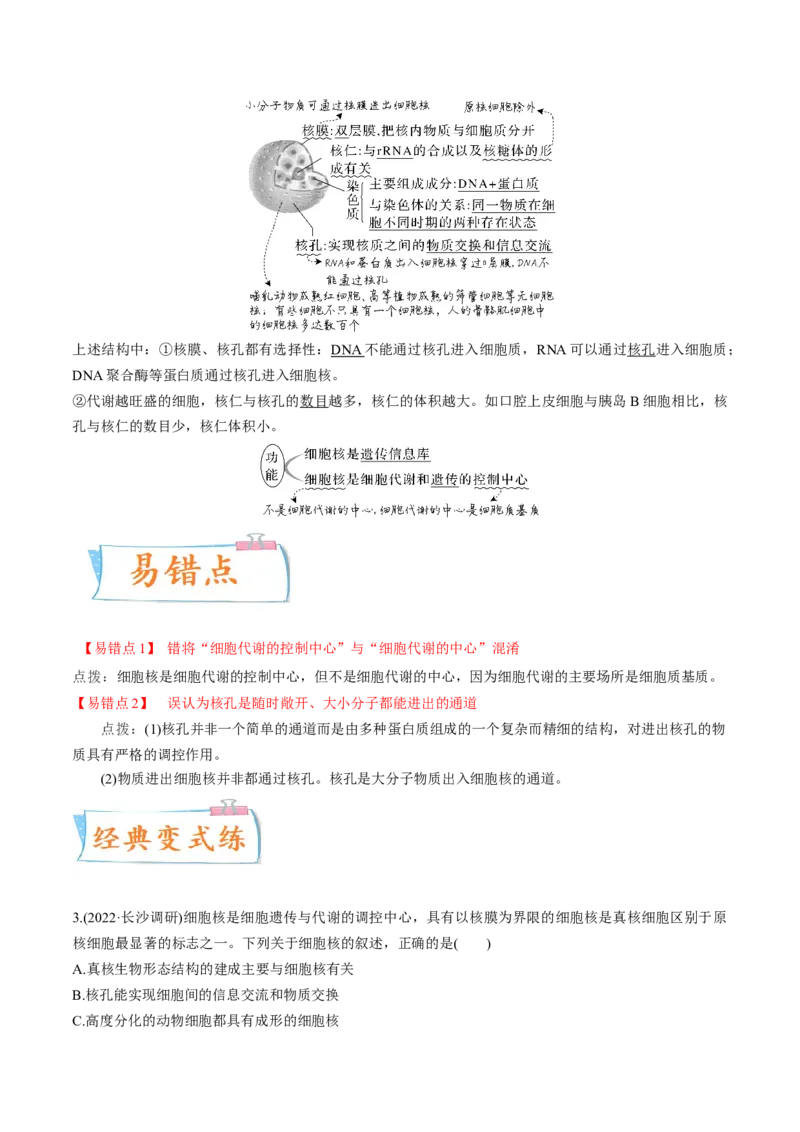 考向02细胞的基本结构-备战2023年高考生物一轮复习考点微专题（全国通用）（原卷版）_通用版（老高考）复习资料_2023年复习资料_一轮复习